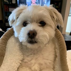 Meet your Posher, Tamara